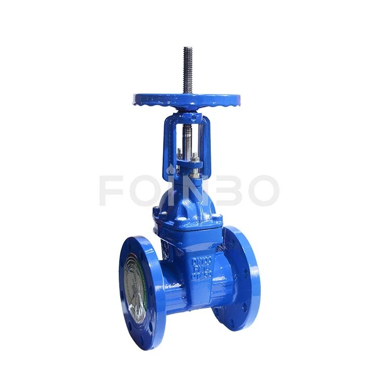 Flanged OSY Gate Valve (5)